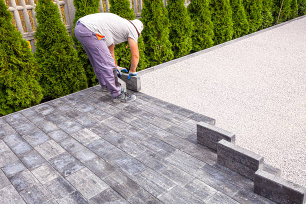 Best Driveway Paver Repair  in Cibolo, TX