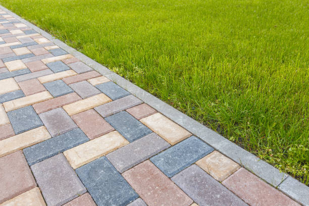 Best Concrete Paver Driveway  in Cibolo, TX